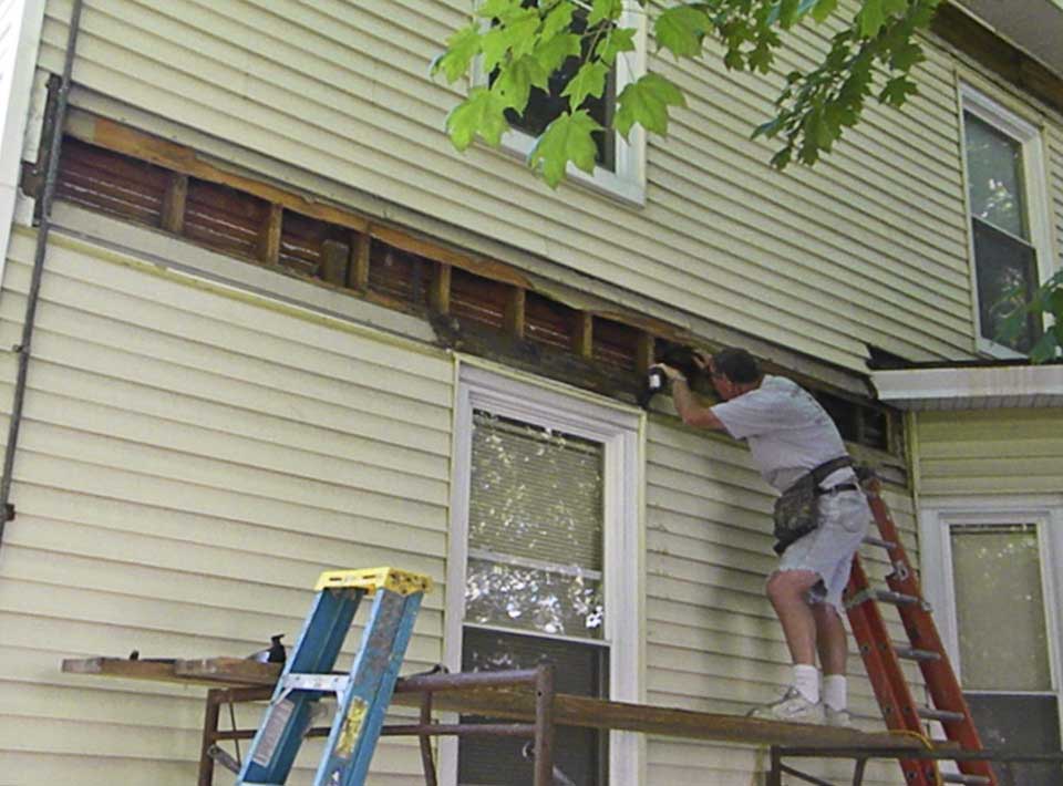 Renovation 1